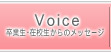 卒業生・在校生からのメッセージ【Voice】