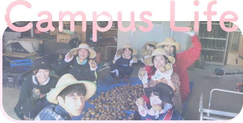 CampusLife|キャンパスライフ